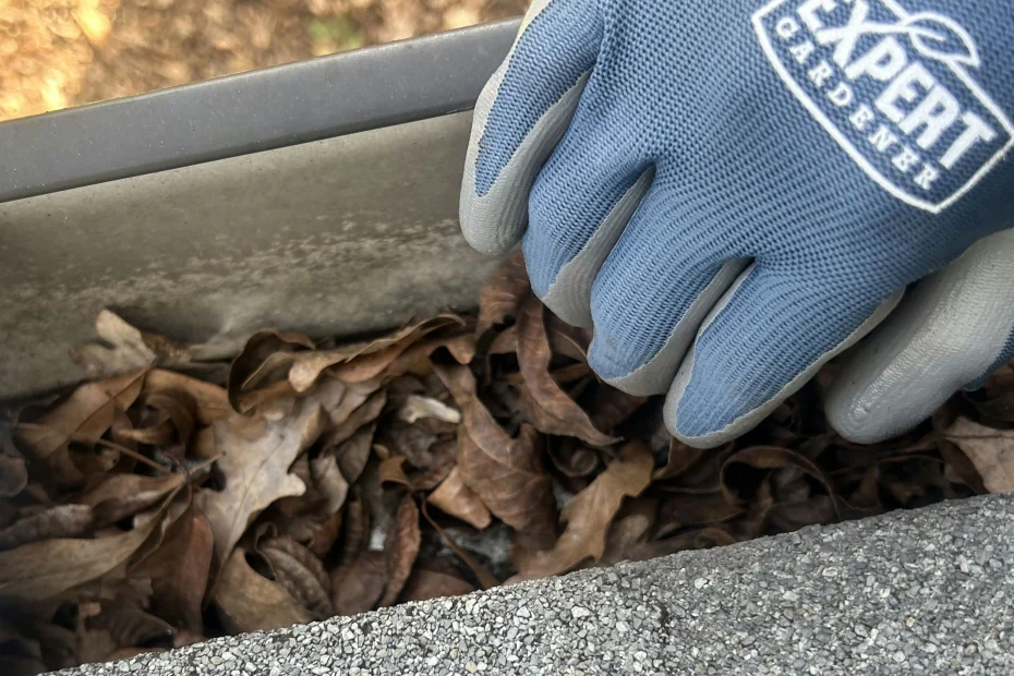 Lantana Gutter Cleaning