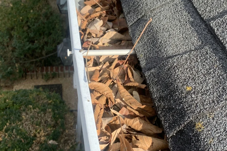 Lantana Gutter Cleaning
