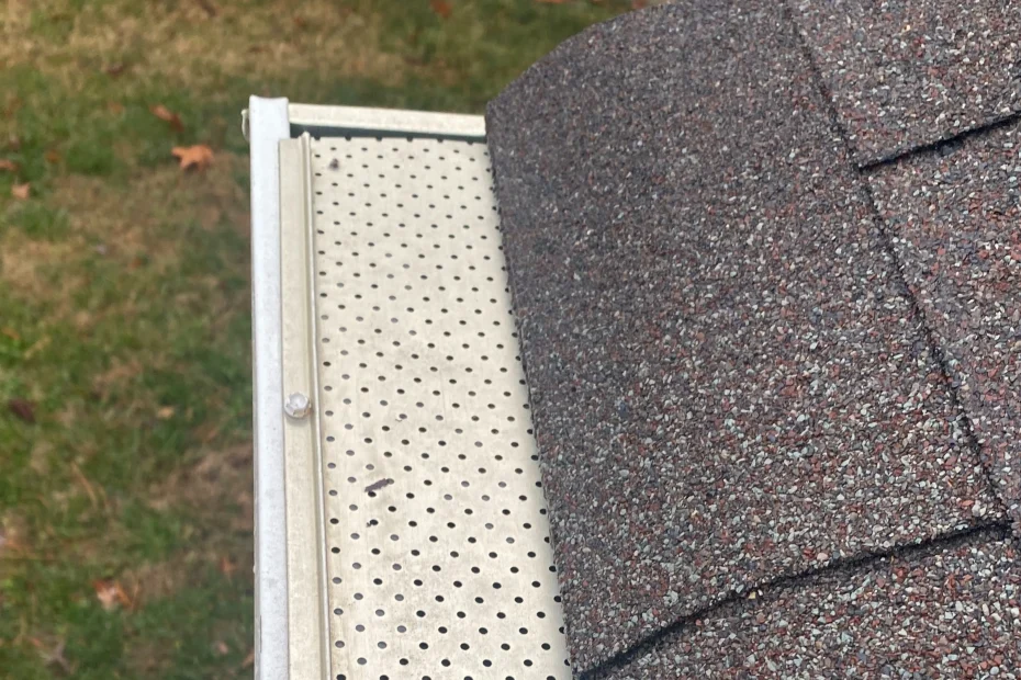 Lantana Gutter Cleaning