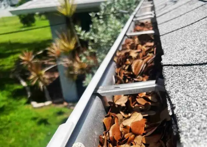 Lantana gutter cleaning home page